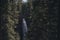 Mesmerizing waterfall surrounded by green plants in spring