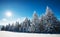 Mesmerizing winter landscape with a snowy slope