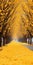 Mesmerizing Yellow Covered Road Surrounded By Dreamlike Trees