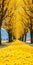 Mesmerizing Yellow Pathway Lined With Trees - Spectacular Colorscapes