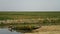 Mesopotamian Marshes, habitat of Marsh Arabs aka Madans Basra Iraq