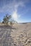 Mesquite Dunes in Death Valley National Park