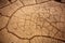 Mesquite Dunes dried clay detail in Death Valley