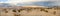 Mesquite flats in the death valley desert in sunset light