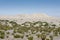 Mesquite Sand Dunes