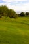 Mesquite Tree on Golf Course