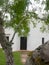 Mesquite Tree with Spanish Mission in Background Goliad Texas