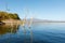 Mesquite trees in a lake