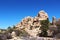 Mesquite trees and scrub brush in front of mountainous rock at Hidden Valley Picnic Area Trail in Joshua Tree National Park