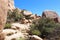 Mesquite, yucca trees and scrub brush growing in unique rock formations at Hidden Valley Picnic Area Trail in California