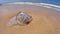 Message Bottle In Sand