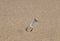 Message in a bottle on a sandy beach