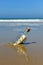 Message in a bottle on the shore of the beach, question, why