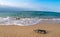 Message in a corked bottle on the empty beach