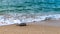 Message in a corked bottle on the empty beach