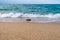 Message in a corked bottle on the empty beach