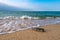 Message in a corked bottle on the empty beach