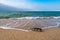 Message in a corked bottle on the empty beach