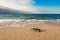 Message in a corked bottle on the empty beach