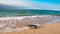 Message in a corked bottle on the empty beach