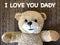 The message that I LOVE YOU DADY by cute teddy bear