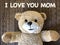 The message that I LOVE YOU MOM by cute teddy bear