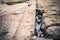 Messages at The Western Wall, in the Old city of Jerusalem Israel, Dec 19, 2023