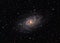 Messier 33 Triangulum Galaxy