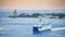 MESSINA, ITALY - NOVEMBER 06, 2018 - Panoramic view of the port in Sicily and the big ferry ship boat