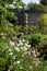 Messy bedhead garden in London UK with rock garden. Aquilegia flowers in the foreground.