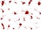 Messy blood blot collection, red drops on white background. Vector illustration, maniac style, isolated