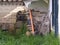 A messy corner in a garden, with an old wheelbarrow