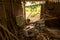 Messy Junk in Abandoned Chicken Coop - Old Plastic Chair - Wood, Hose and Basket - Asian Tree House and Garden