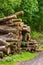 Messy stacked tree trunks in the forest