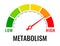 Metabolism level meter