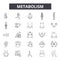 Metabolism line icons, signs, vector set, outline illustration concept