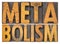 Metabolism word abstract in wood type