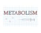 Metabolism word on checkered paper sheet