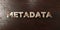 Metadata - grungy wooden headline on Maple - 3D rendered royalty free stock image