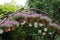 metal arch with baskets of flowers. Decor element. Landscape decoration, landscaping