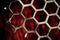 Metal Background hex pattern on red