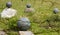 Metal balls placed on stones,