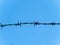 Metal barb wire on a background of blue sky, close-up. Black barb wire under blue sky, macro