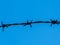 Metal barb wire on a background of sky, close-up. Black barb wire under blue sky, macro