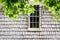 Metal bars on window and shingle siding green oak tree