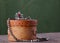 Metal beads and a ring with a red stone on small birch bark casket