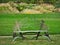 Metal bench in the form of butterflies at Overland Park Arboretum and Botanical Gardens