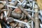 metal bolts and nuts in the container. industrial equipment background