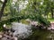 Metal bridge covered with green leaves over river