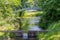 Metal bridge over a stream with flowing water between lush green trees and abundant wild vegetation